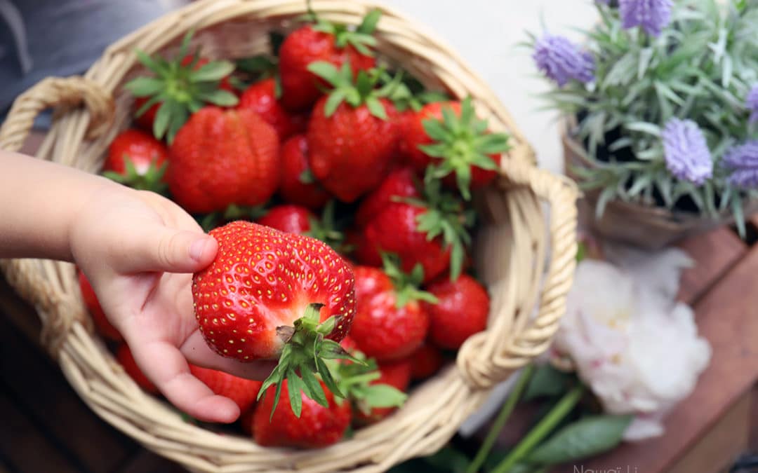 Saison des fraises: consommer local