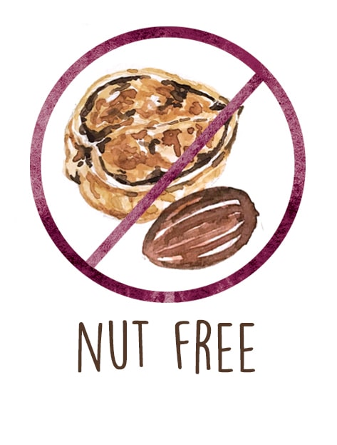 Recipe Allergenic Nut Free