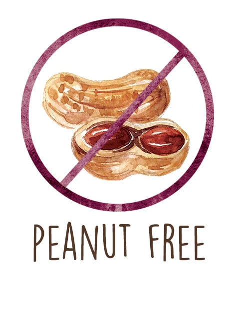 Recipe Allergenic Peanut Free