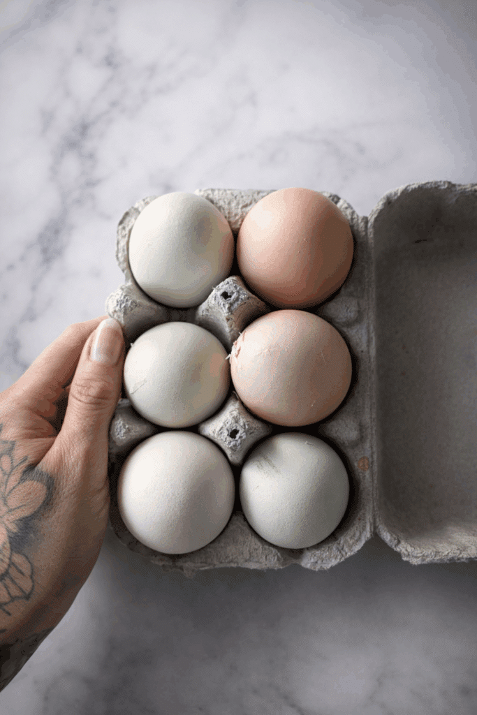 oeuf alimenté santé, cholestérol ?