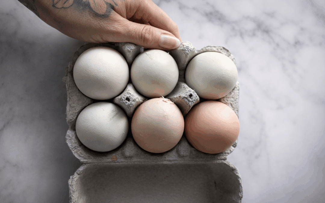 oeuf : aliment santé ou à éviter ?