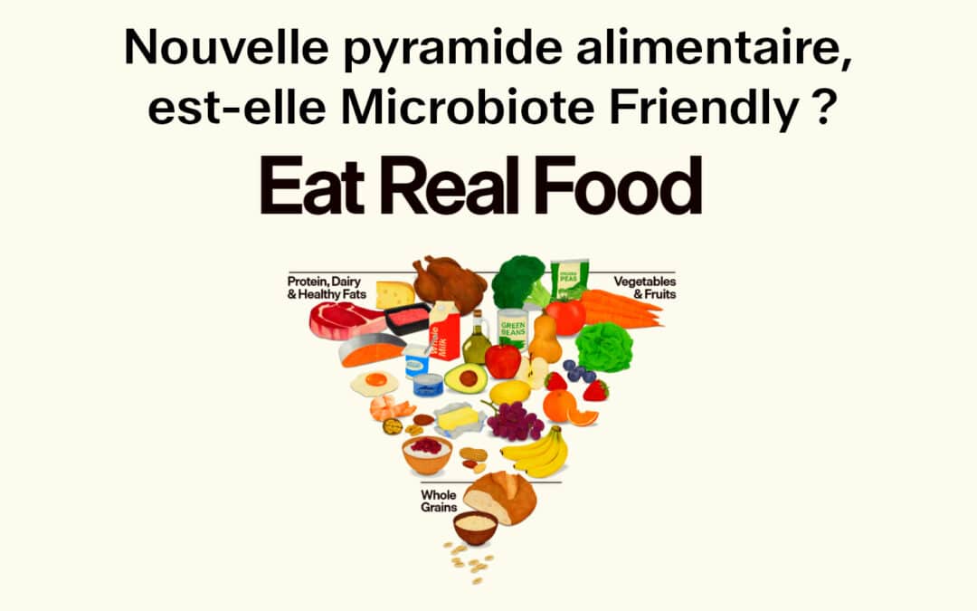 Pyramide alimentaire USA, est-elle Microbiote Friendly ?