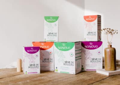 Sève de bouleau : bienfaits, cure et conseils pour bien la choisir